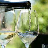 Вино Ркацителі Сухе, Біле 1,5кг