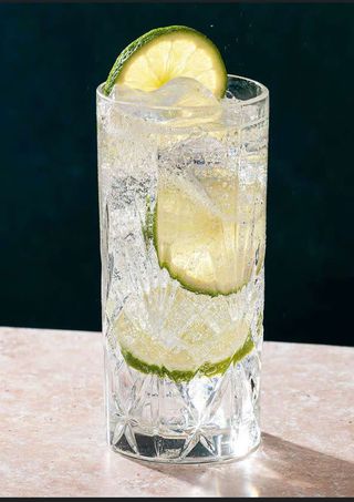 Gin tonic base