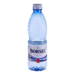 Aqua Carpatica Apa minerala plata 0,5l