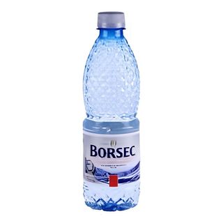 Aqua Carpatica Apa minerala plata 0,5l