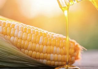 Mazorca Con Aceite De Oliva