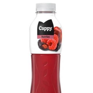 Сік Cappy 0.5