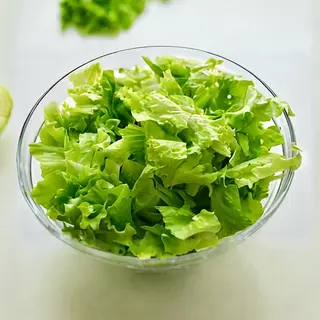 Zelena salata