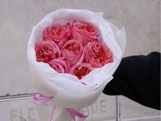 Simple Roses Jardim S-size