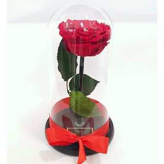 Trandafir Criogenat “Inima mea “