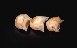 040 Ebi gyoza griglia  3 pezzi