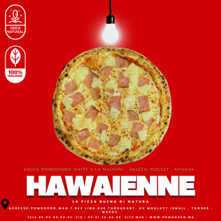  Poulet   Hawaienne LARGE   