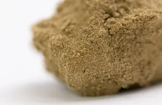 Polen Remedy 36,5% CBD- Herbal y Dulce - 1Gr