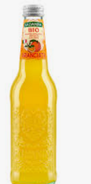 Aranciata biologica Galvanina 35 cl