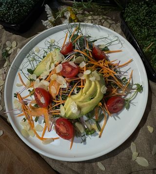 Салат Мікрогрін