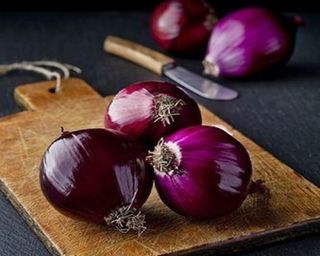 Цибуля червона (10г)