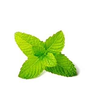 Menta