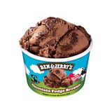 Ben & Jerry’s Chocolate Fudge Brownie 100ml