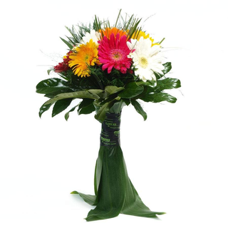 Bouquet Gerberas