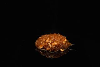 158 SPAGHETTI DI SOIA PICCANTE