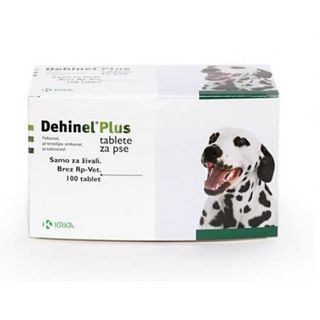 Dehinel Dog