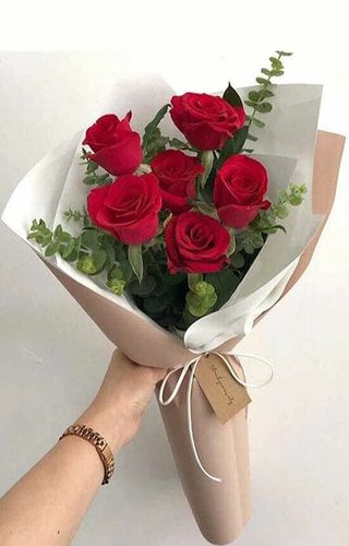 Media Docena Rosas Rojas