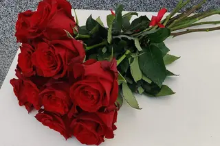 Червени рози (15 бр.)