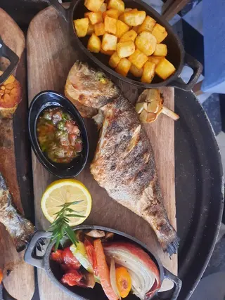 Dorade