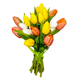 Ramo mixto de 10 tulipanes