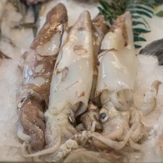 Calamaro pulito ad anello 300 g circa