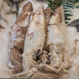 Calamaro pulito ad anello 300 g circa