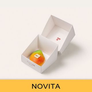 Mango realistico