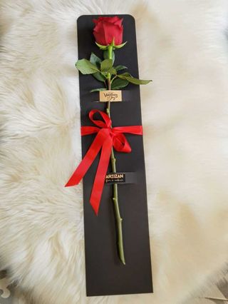 Trandafir Artizan rosu N