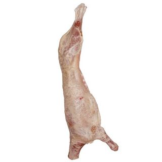 Cordero Lechal Entero (Aprox. 5,5 Kg.)