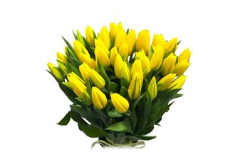 Жълти Лалета 45 Бр