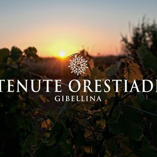 Vino Tenute Orestiadi
