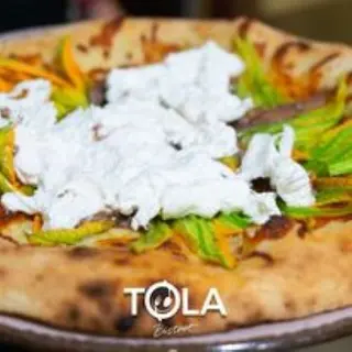 Zucca