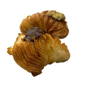 Box Aragostine (10 Uds.)