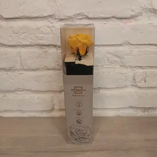 Rosa Amarilla Eterna