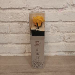 Rosa Amarilla Eterna