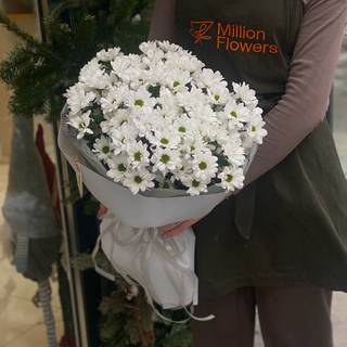 9 гілок хризантеми Kennedy