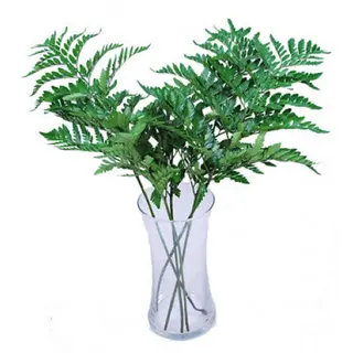 Frunze pentru buchet