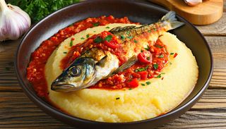 Saramura de Dorada cu Mamaliguta