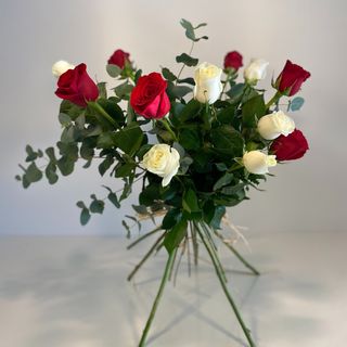 Seis Rojas y Seis Blancas