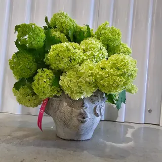  "Verdor Sereno"