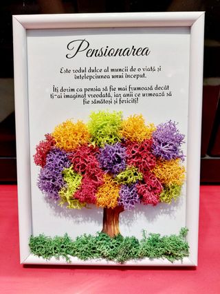 Tablou cu licheni Pensionarea - Mesaj standard