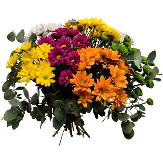 Ramo de Margaritas Variadas