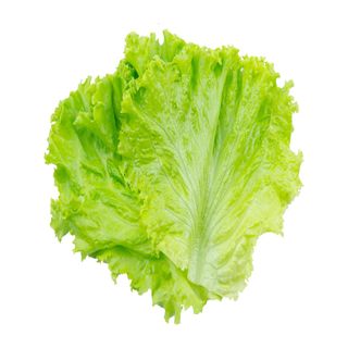 Extra Lechuga
