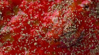 Marinara MEZZA PORZIONE