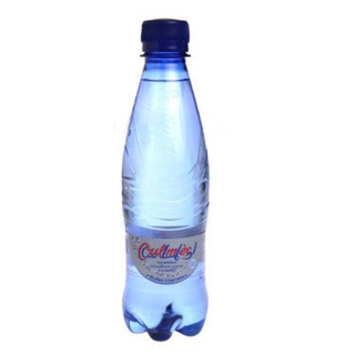 Eaux Gazeuse Oulmes 33cl 