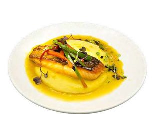 Salmón Fresco Con Salsa Cítrica Y Parmentier