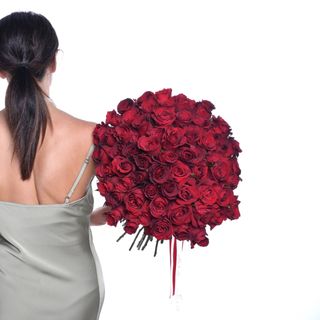 69 Sex appeal - rosu