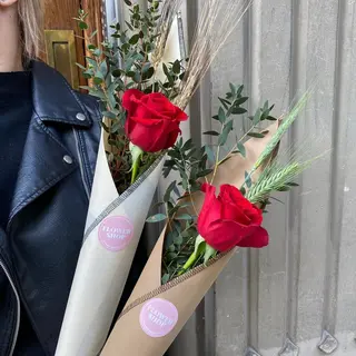 Rosa Sant Jordi - Nature