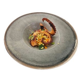 Октопод