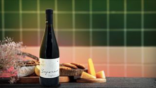 Saperavi Qvevri - Kardenakhi